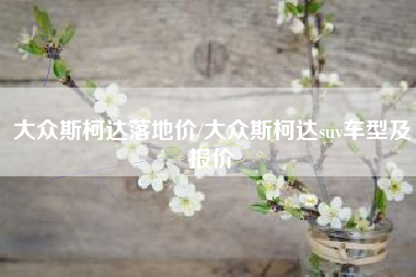 大众斯柯达落地价/大众斯柯达suv车型及报价