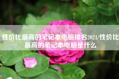 性价比最高的笔记本电脑排名2021/性价比最高的笔记本电脑是什么 性价比最高的笔记本电脑排名2021/性价比最高的笔记本电脑是什么