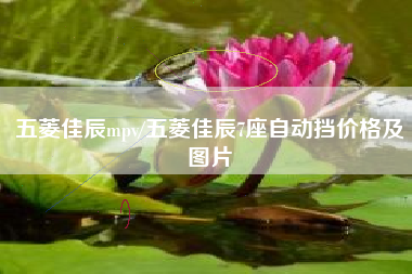 五菱佳辰mpv/五菱佳辰7座自动挡价格及图片