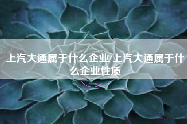 上汽大通属于什么企业/上汽大通属于什么企业性质