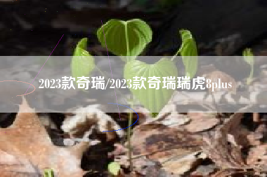 2023款奇瑞/2023款奇瑞瑞虎8plus 2023款奇瑞/2023款奇瑞瑞虎8plus