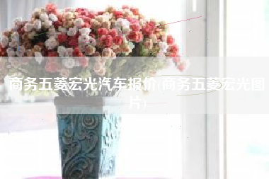 商务五菱宏光汽车报价(商务五菱宏光图片)