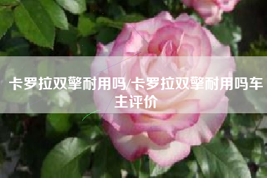 卡罗拉双擎耐用吗/卡罗拉双擎耐用吗车主评价 卡罗拉双擎耐用吗/卡罗拉双擎耐用吗车主评价