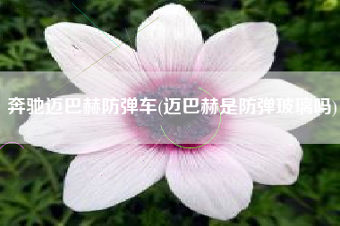 奔驰迈巴赫防弹车(迈巴赫是防弹玻璃吗)