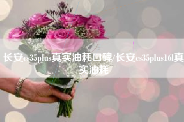 长安cs35plus真实油耗口碑/长安cs35plus16l真实油耗