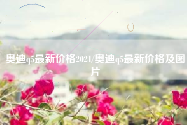 奥迪q5最新价格2021/奥迪q5最新价格及图片