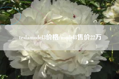 teslamodel3价格/model3售价22万