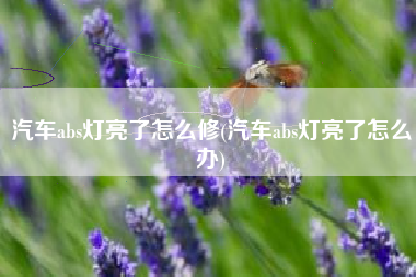 汽车abs灯亮了怎么修(汽车abs灯亮了怎么办)