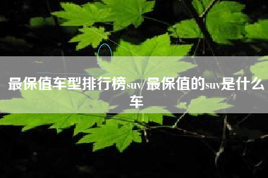 最保值车型排行榜suv/最保值的suv是什么车