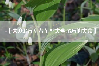 【大众35万左右车型大全,35万的大众】 【大众35万左右车型大全,35万的大众】