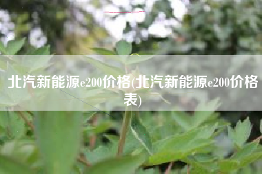 北汽新能源e200价格(北汽新能源e200价格表)
