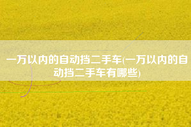 一万以内的自动挡二手车(一万以内的自动挡二手车有哪些)