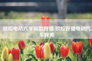 欧拉电动汽车新款好猫/欧拉好猫电动汽车视频