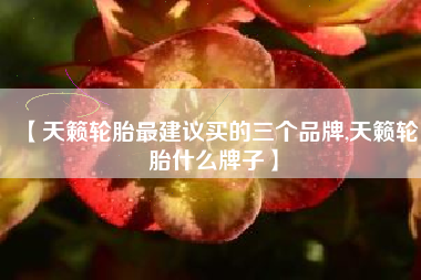 【天籁轮胎最建议买的三个品牌,天籁轮胎什么牌子】 【天籁轮胎最建议买的三个品牌,天籁轮胎什么牌子】