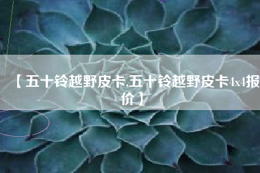 【五十铃越野皮卡,五十铃越野皮卡4x4报价】