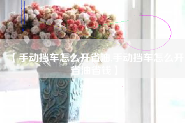 【手动挡车怎么开省油,手动挡车怎么开省油省钱】 【手动挡车怎么开省油,手动挡车怎么开省油省钱】