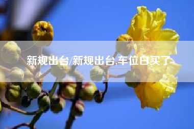 新规出台/新规出台,车位白买了