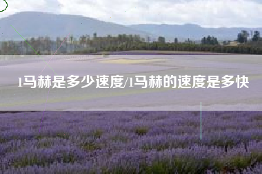 1马赫是多少速度/1马赫的速度是多快