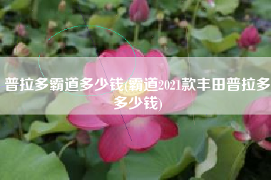 普拉多霸道多少钱(霸道2021款丰田普拉多多少钱)