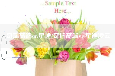 奇瑞高端suv星途/奇瑞高端suv星途凌云 奇瑞高端suv星途/奇瑞高端suv星途凌云