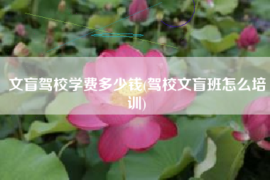 文盲驾校学费多少钱(驾校文盲班怎么培训)