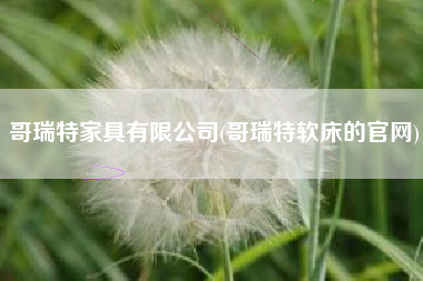 哥瑞特家具有限公司(哥瑞特软床的官网)