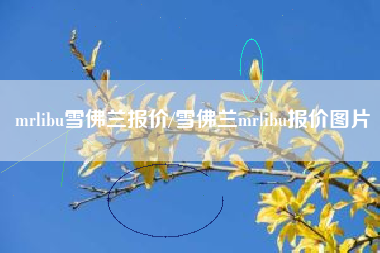 mrlibu雪佛兰报价/雪佛兰mrlibu报价图片 mrlibu雪佛兰报价/雪佛兰mrlibu报价图片