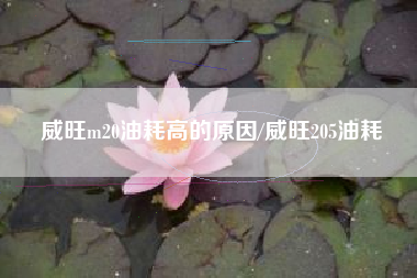 威旺m20油耗高的原因/威旺205油耗 威旺m20油耗高的原因/威旺205油耗