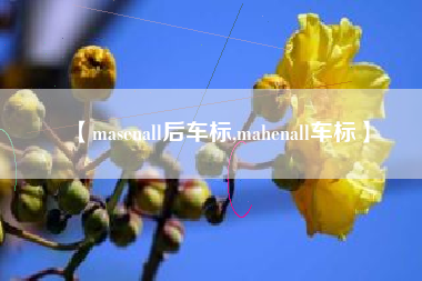 【masenall后车标,mahenall车标】 【masenall后车标,mahenall车标】