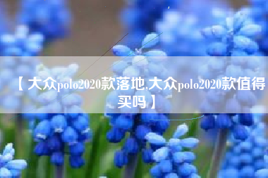 【大众polo2020款落地,大众polo2020款值得买吗】