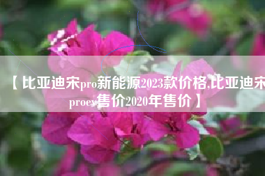 【比亚迪宋pro新能源2023款价格,比亚迪宋proev售价2020年售价】