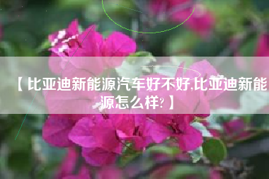 【比亚迪新能源汽车好不好,比亚迪新能源怎么样?】