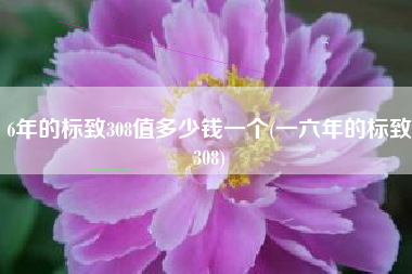 6年的标致308值多少钱一个(一六年的标致308)