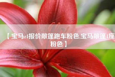 【宝马z4报价敞篷跑车粉色,宝马敞篷4座粉色】