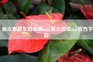 易众事故车拍卖网app(易众拍卖app官方下载)