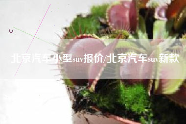 北京汽车小型suv报价/北京汽车suv新款