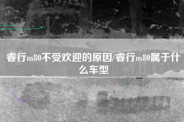 睿行m80不受欢迎的原因/睿行m80属于什么车型