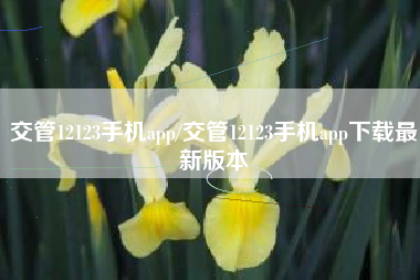 交管12123手机app/交管12123手机app下载最新版本