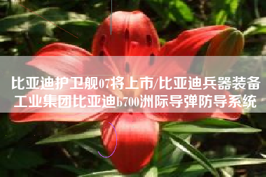 比亚迪护卫舰07将上市/比亚迪兵器装备工业集团比亚迪b700洲际导弹防导系统