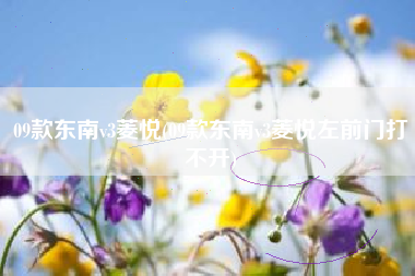 09款东南v3菱悦(09款东南v3菱悦左前门打不开)