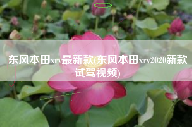 东风本田xrv最新款(东风本田xrv2020新款试驾视频)