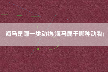 海马是哪一类动物(海马属于哪种动物)