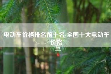 电动车价格排名前十名/全国十大电动车价格