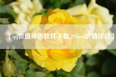 【qq价值评估软件下载,293net价值评估】