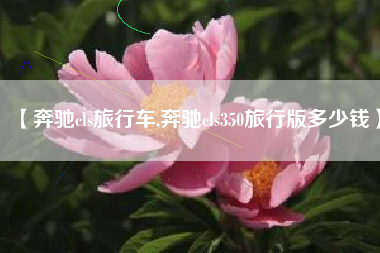 【奔驰cls旅行车,奔驰cls350旅行版多少钱】
