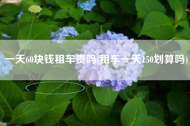 一天60块钱租车贵吗(租车一天150划算吗)