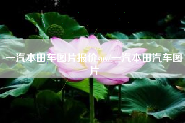 一汽本田车图片报价suv/一汽本田汽车图片