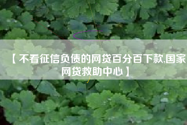 【不看征信负债的网贷百分百下款,国家网贷救助中心】