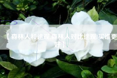 【森林人和途观,森林人对比途观l买谁更好】 【森林人和途观,森林人对比途观l买谁更好】