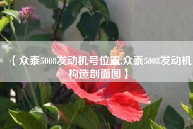 【众泰5008发动机号位置,众泰5008发动机构造剖面图】